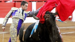 toros_1