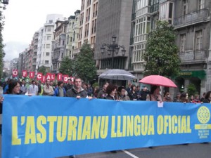 manifestacion manifestacion